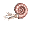 ĂƂ̃AiCg