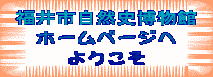 sRj