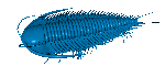 ĂƂ̎Ot