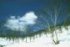 Mt.Makihata