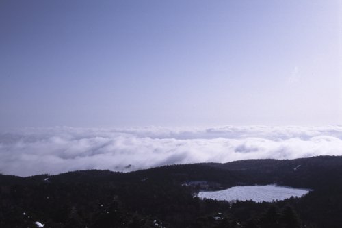 [ _̒r ]