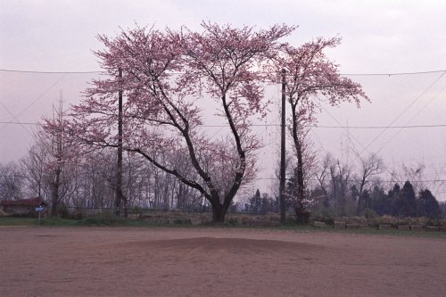 悢ołI