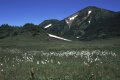 gallery8-03