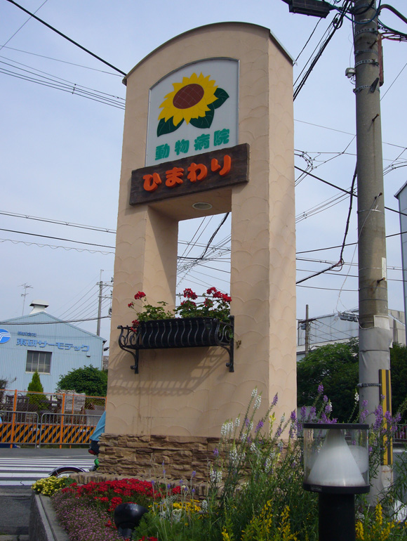 動物 寝屋川 ひまわり 病院