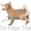 To Page Top