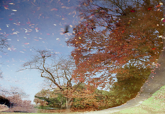 űvwith Konica HEXER Silver and Konica IMPRESSA.