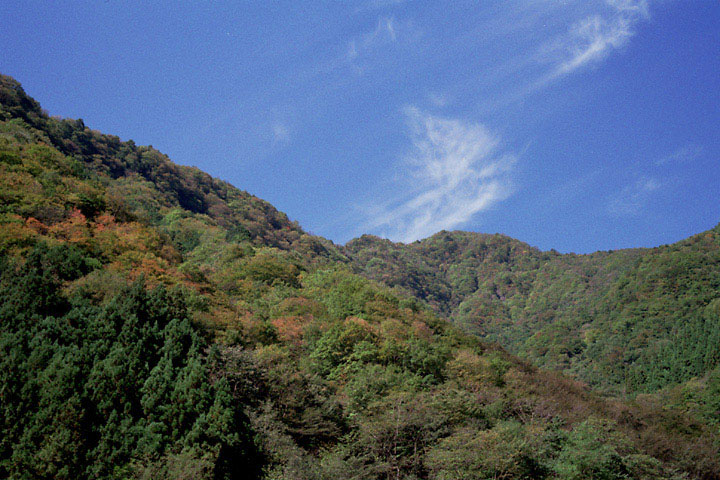 uV삯_vwith Konica HEXER Silver.