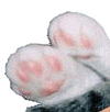 �L�̎�