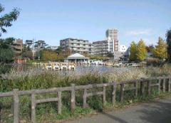 石神井公園から見た街並み(現況)