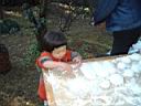 2001moti13.jpg