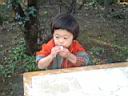 2001moti14.jpg