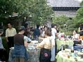0929bbq008.jpg