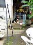 0929bbq064.jpg