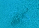 ���݂Ă�