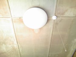 photo1