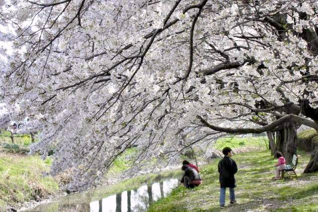 伊佐沼公園