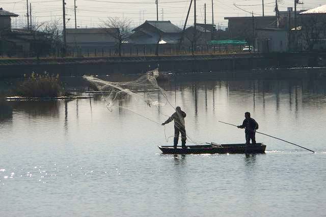 伊佐沼