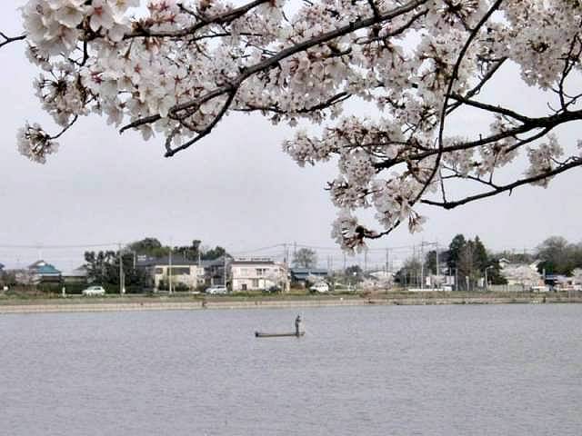 伊佐沼（川越市）