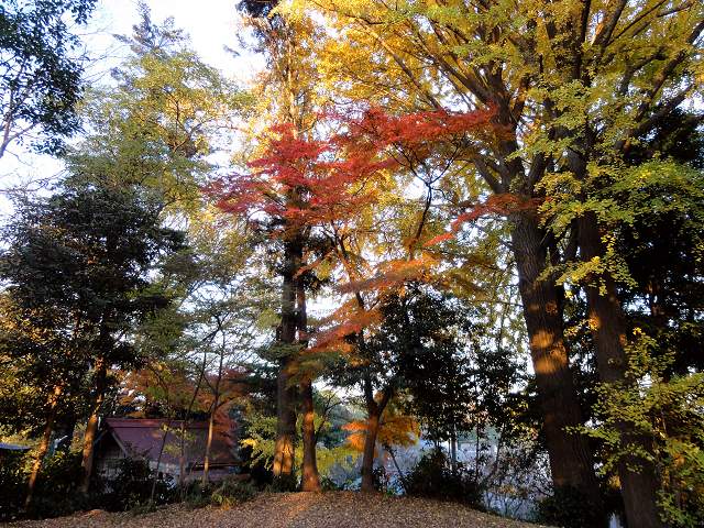 川越城 富士見櫓跡