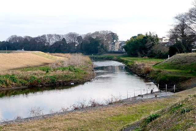 新河岸川