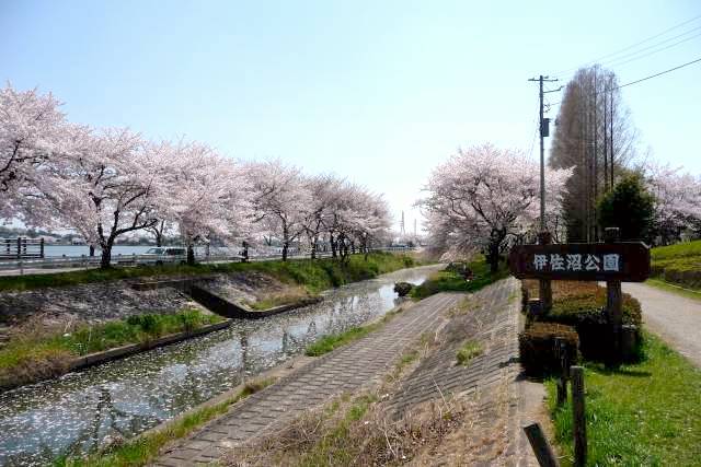 伊佐沼公園