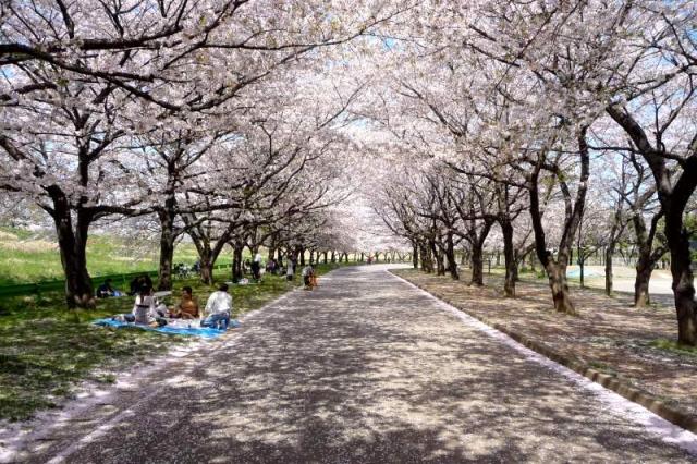 水上公園