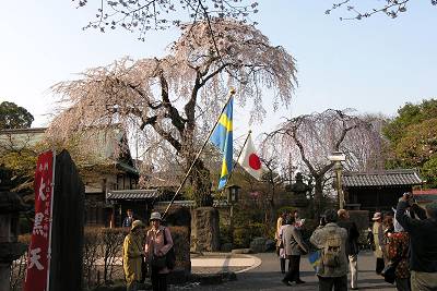 2007年3月 川越の特別な1日