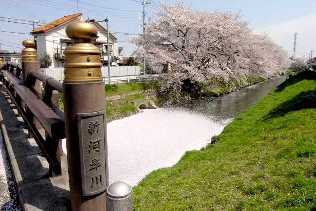 新河岸川