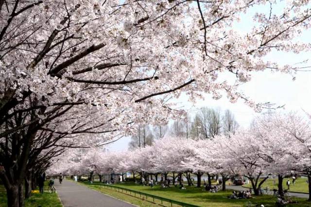 水上公園