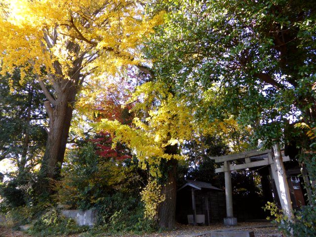 川越城 富士見櫓跡