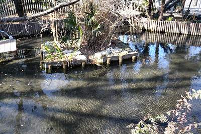 浮島神社