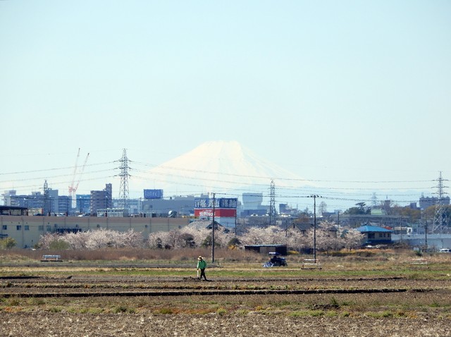kawagoe-city and Mt Fuji