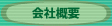 ЊTv