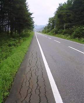 拡大できますヨ