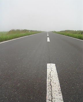 拡大できますヨ