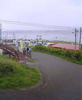 拡大できますヨ