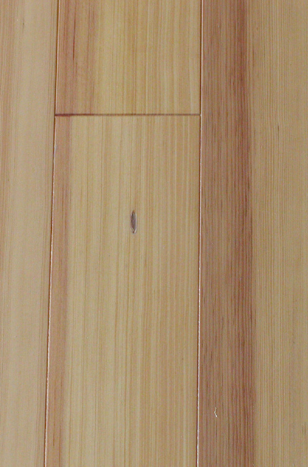 saga-kanzaki008001.jpg