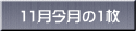 11月今月の1枚