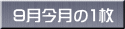 9月今月の1枚