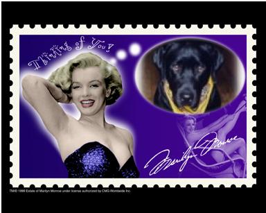 �Ƃ��Ƃ��A�}�������ƁE�E�E�E�H