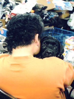 �g�������ǁA�������ȁB