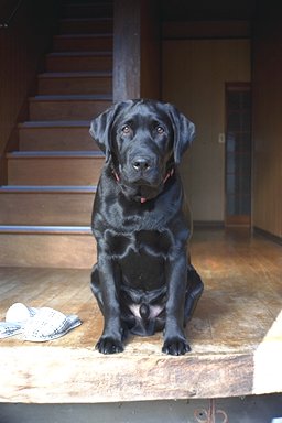 �l�����A������ԏo�����B