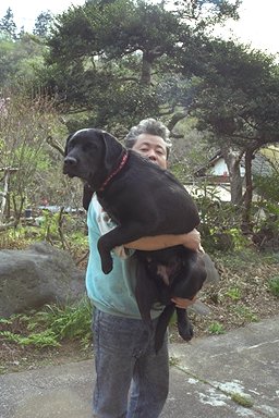 �傫���H�d���H