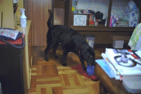 �n�O�n�O�n�O�n�O�n�O