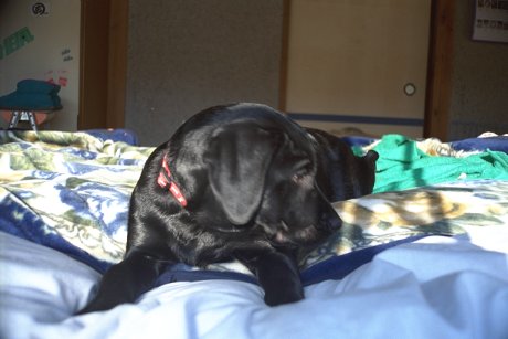 �ۂ��ۂ��Ɨǂ��C����