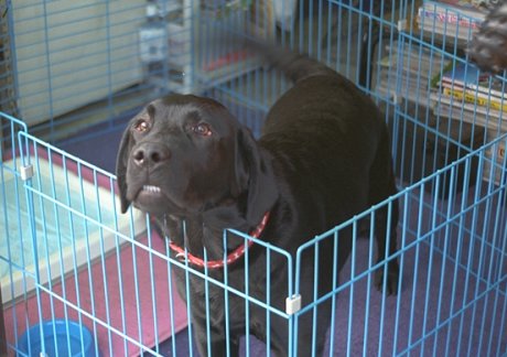 ���������m�A���[