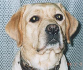 �������ł��B