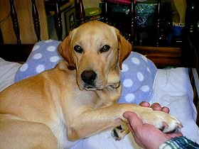 �A���b�N�X�N