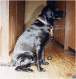 �ꌩ�A���������񂾂��ǁE�E�E�E