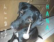 �؂����i�����������̂͒N���ȁH�j